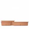 Kép 3/4 - Prosperplast Balkonláda Camelia 508x188mm barna