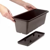 Kép 4/4 - Prosperplast Balkonláda Camelia 508x188mm barna