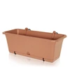 Kép 1/4 - Prosperplast Balkonláda Camelia akasztóval 508x188mm terrakotta