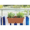 Kép 3/4 - Prosperplast Balkonláda Camelia akasztóval 508x188mm terrakotta