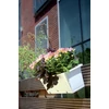 Kép 4/4 - Prosperplast Balkonláda Camelia akasztóval 508x188mm terrakotta