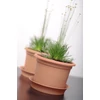 Kép 2/3 - Virágcserép Plastica 170x127mm terrakotta