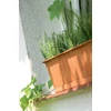 Kép 3/4 - Prosperplast Balkonláda Agro 500x180mm fehér